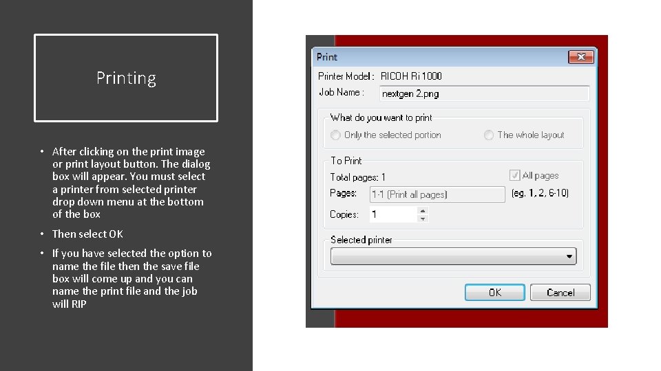 Printing • After clicking on the print image or print layout button. The dialog Printing • After clicking on the print image or print layout button. The dialog