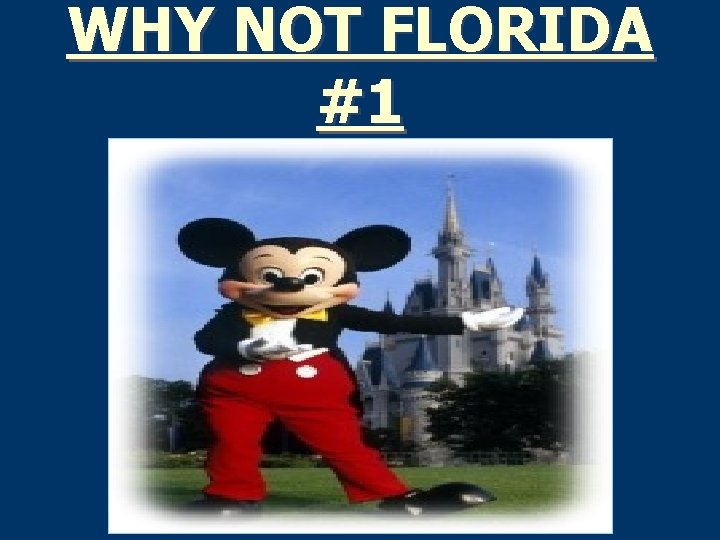 WHY NOT FLORIDA #1 