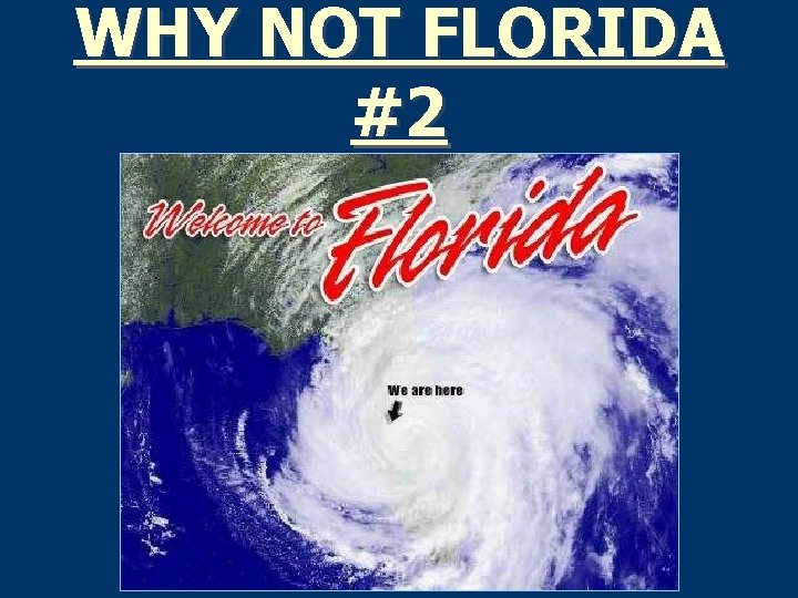 WHY NOT FLORIDA #2 