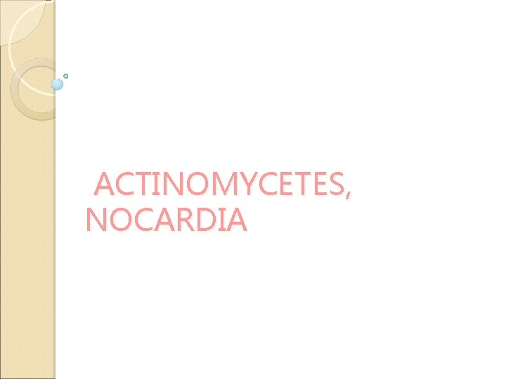 ACTINOMYCETES, NOCARDIA ACTINOMYCETES, NOCARDIA