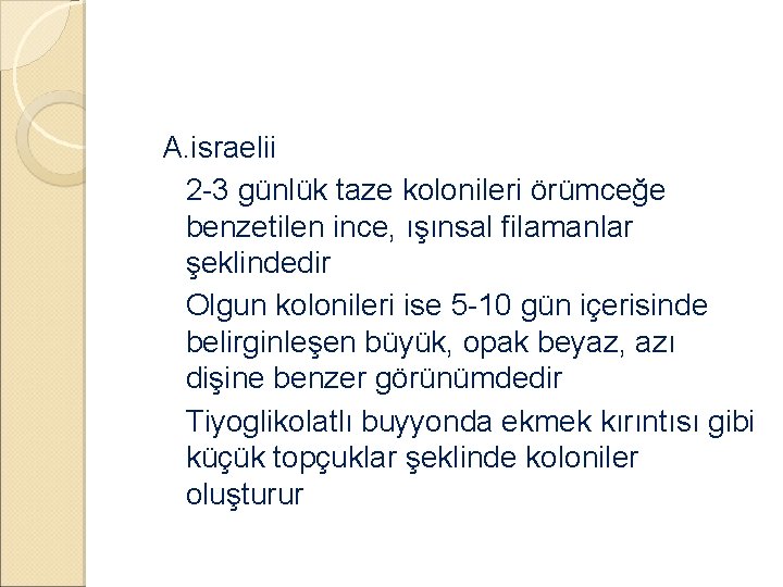 �A. israelii ◦ 2 -3 günlük taze kolonileri örümceğe benzetilen ince, ışınsal filamanlar şeklindedir �A. israelii ◦ 2 -3 günlük taze kolonileri örümceğe benzetilen ince, ışınsal filamanlar şeklindedir