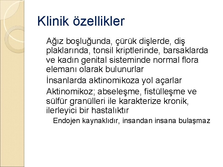 Klinik özellikler �Ağız boşluğunda, çürük dişlerde, diş plaklarında, tonsil kriptlerinde, barsaklarda ve kadın genital Klinik özellikler �Ağız boşluğunda, çürük dişlerde, diş plaklarında, tonsil kriptlerinde, barsaklarda ve kadın genital