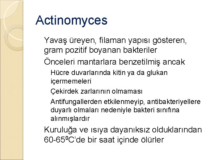 Actinomyces �Yavaş üreyen, filaman yapısı gösteren, gram pozitif boyanan bakteriler �Önceleri mantarlara benzetilmiş ancak