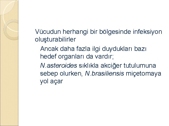 �Vücudun herhangi bir bölgesinde infeksiyon oluşturabilirler ◦ Ancak daha fazla ilgi duydukları bazı hedef