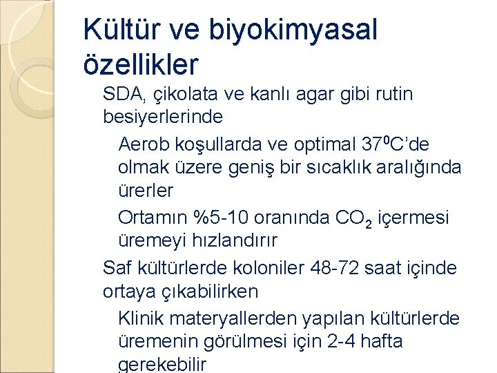 Kültür ve biyokimyasal özellikler �SDA, çikolata ve kanlı agar gibi rutin besiyerlerinde ◦ Aerob Kültür ve biyokimyasal özellikler �SDA, çikolata ve kanlı agar gibi rutin besiyerlerinde ◦ Aerob