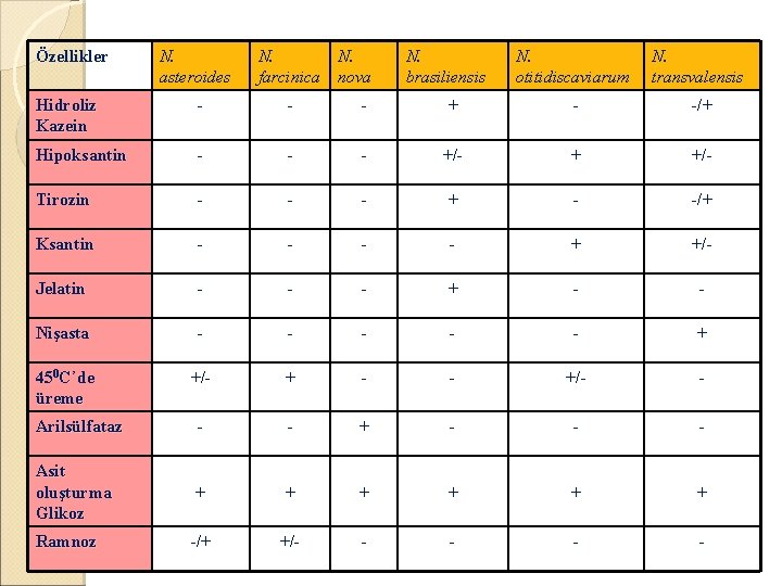 Özellikler N. asteroides N. N. farcinica nova N. brasiliensis N. otitidiscaviarum N. transvalensis Hidroliz