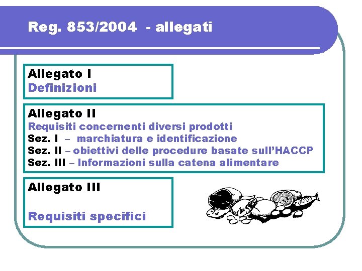 Reg. 853/2004 - allegati Allegato I Definizioni Allegato II Requisiti concernenti diversi prodotti Sez.