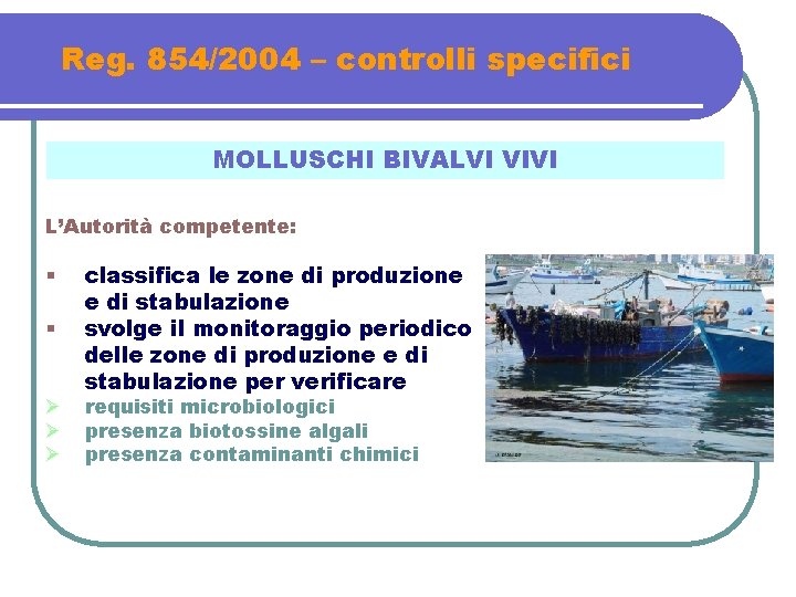 Reg. 854/2004 – controlli specifici MOLLUSCHI BIVALVI VIVI L’Autorità competente: § § Ø Ø