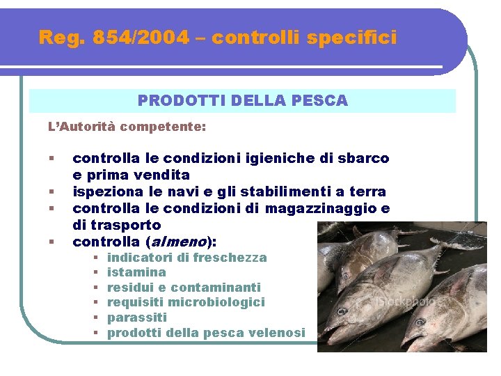 Reg. 854/2004 – controlli specifici PRODOTTI DELLA PESCA L’Autorità competente: § § controlla le