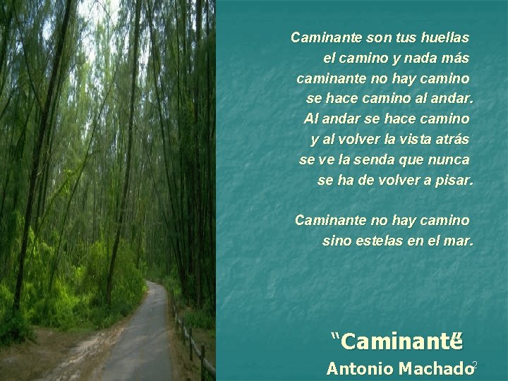 Caminante son tus huellas el camino y nada más caminante no hay camino se