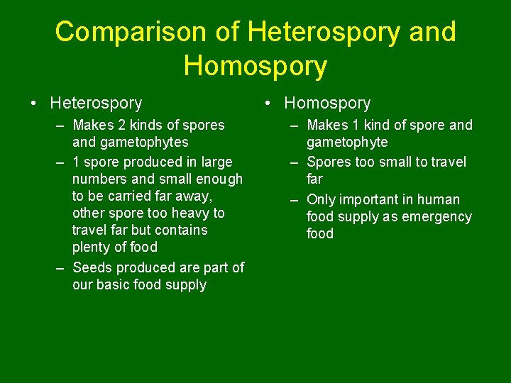 Comparison of Heterospory and Homospory • Heterospory – Makes 2 kinds of spores and