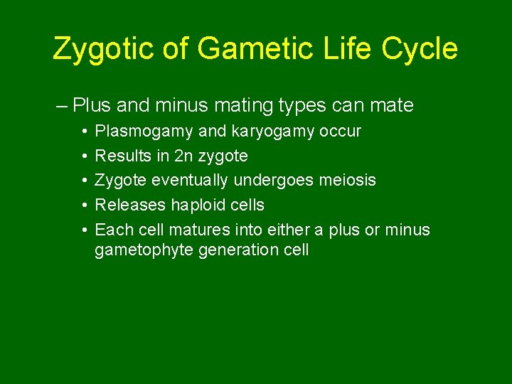 Zygotic of Gametic Life Cycle – Plus and minus mating types can mate •