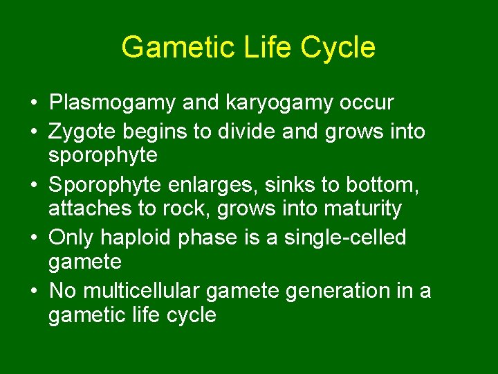 Gametic Life Cycle • Plasmogamy and karyogamy occur • Zygote begins to divide and