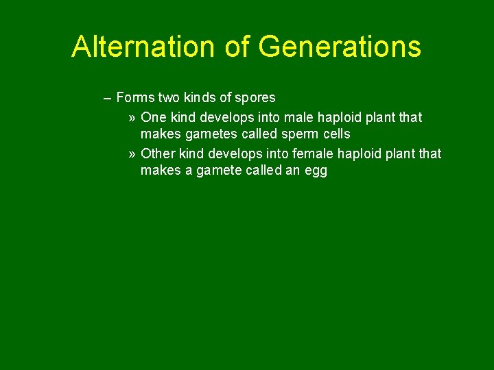 Alternation of Generations – Forms two kinds of spores » One kind develops into