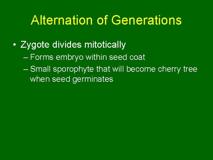 Alternation of Generations • Zygote divides mitotically – Forms embryo within seed coat –