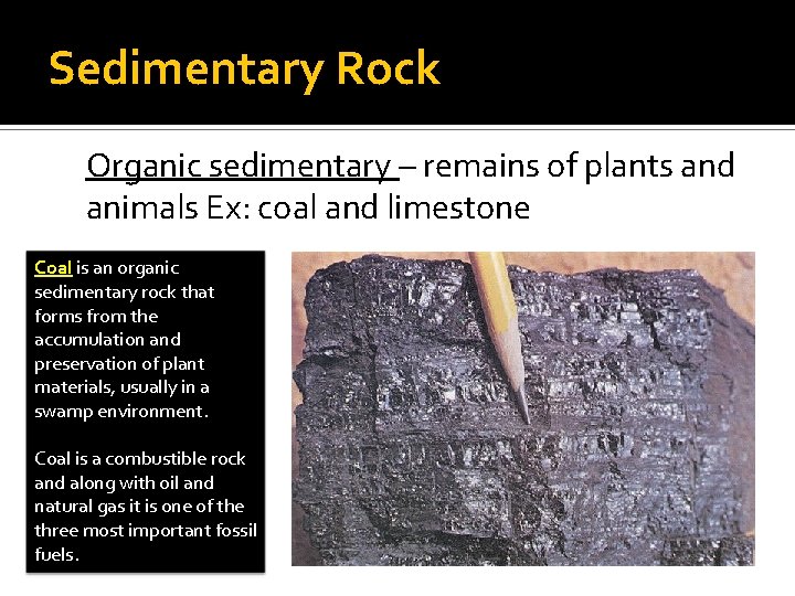 Sedimentary Rock Organic sedimentary – remains of plants and animals Ex: coal and limestone