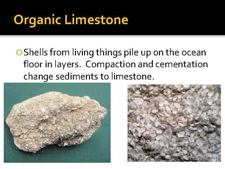 Organic Limestone Shells from living things pile up on the ocean floor in layers.