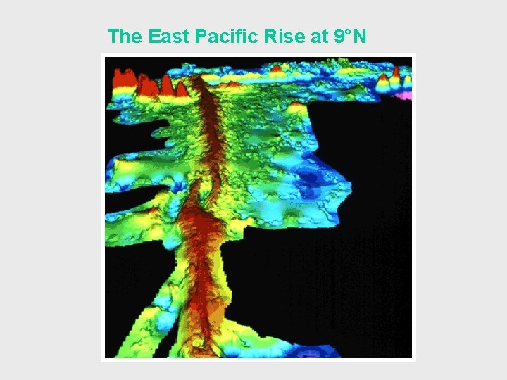 The East Pacific Rise at 9°N 