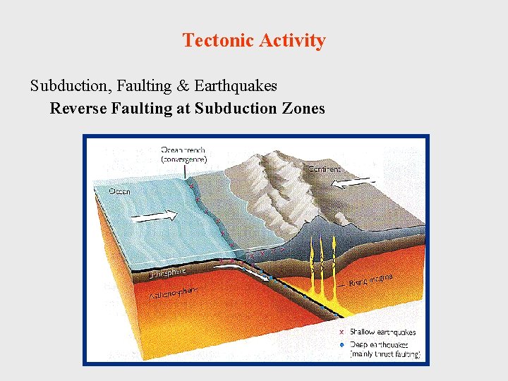 Tectonic Activity Subduction, Faulting & Earthquakes Reverse Faulting at Subduction Zones 