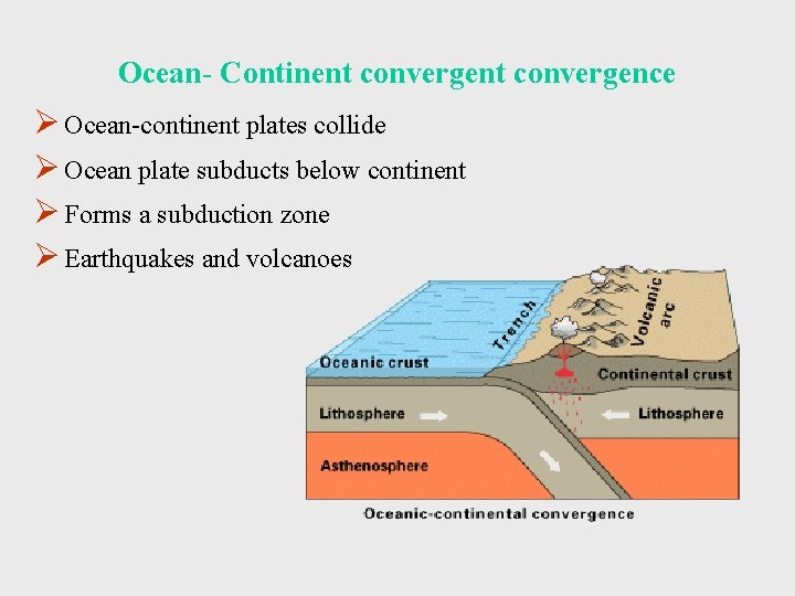 Ocean- Continent convergence Ø Ocean-continent plates collide Ø Ocean plate subducts below continent Ø