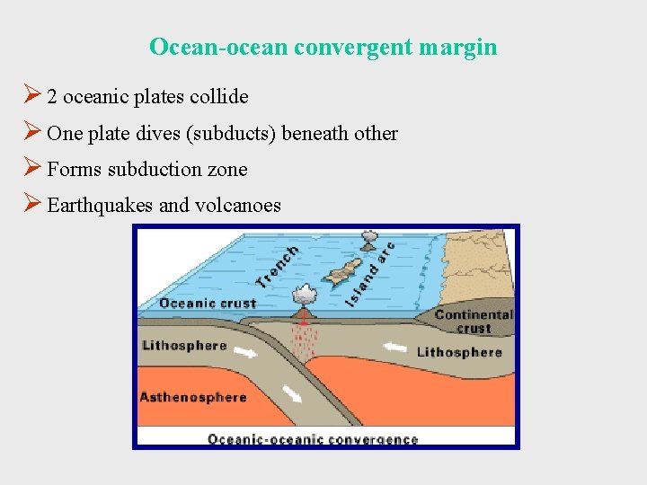 Ocean-ocean convergent margin Ø 2 oceanic plates collide Ø One plate dives (subducts) beneath