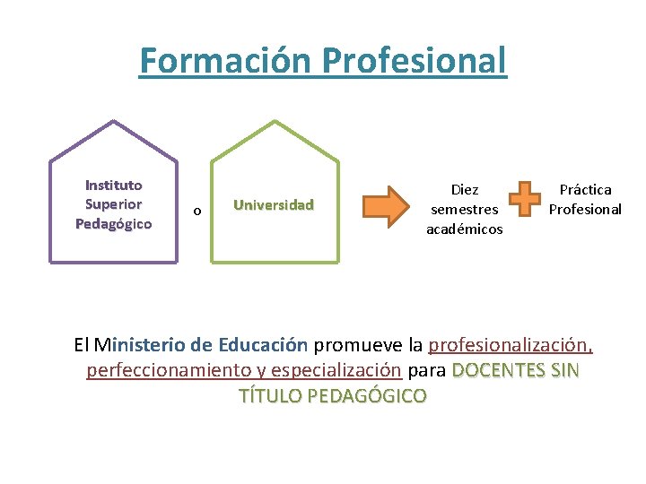 Formación Profesional Instituto Superior Pedagógico o Universidad Diez semestres académicos Práctica Profesional El Ministerio