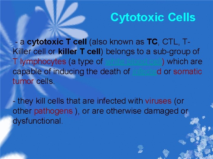 Cytotoxic Cells - a cytotoxic T cell (also known as TC, CTL, TKiller cell