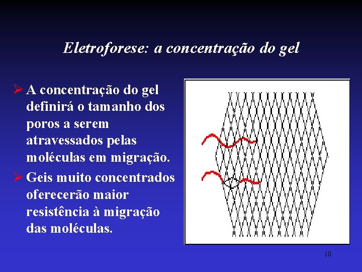 Eletroforese: a concentração do gel Ø A concentração do gel definirá o tamanho dos