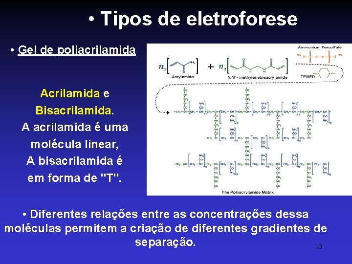  • Tipos de eletroforese • Gel de poliacrilamida Acrilamida e Bisacrilamida. A acrilamida