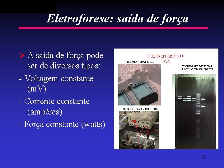 Eletroforese: saída de força Ø A saída de força pode ser de diversos tipos: