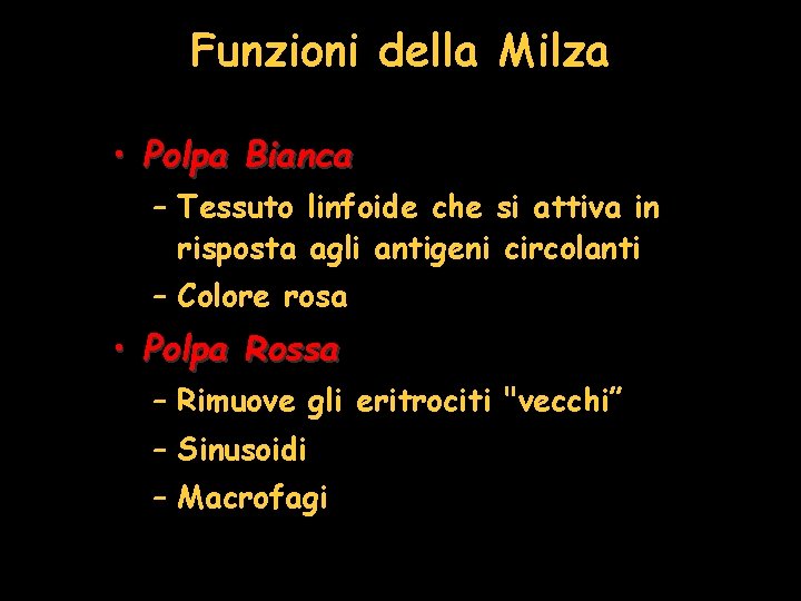 Funzioni della Milza • Polpa Bianca – Tessuto linfoide che si attiva in risposta