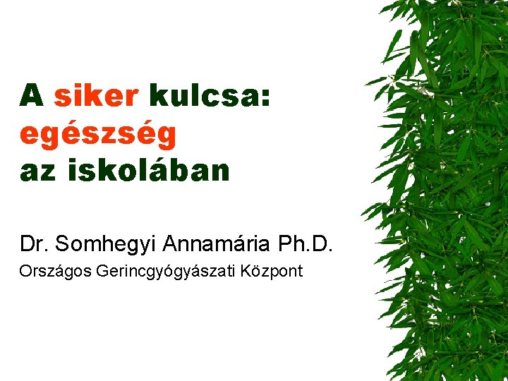 A siker kulcsa: egészség az iskolában Dr. Somhegyi Annamária Ph. D. Országos Gerincgyógyászati Központ