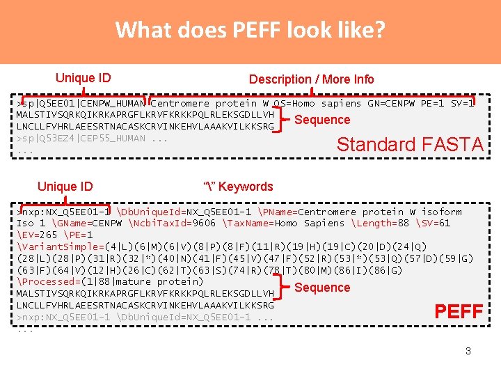 What does PEFF look like? Unique ID Description / More Info >sp|Q 5 EE What does PEFF look like? Unique ID Description / More Info >sp|Q 5 EE