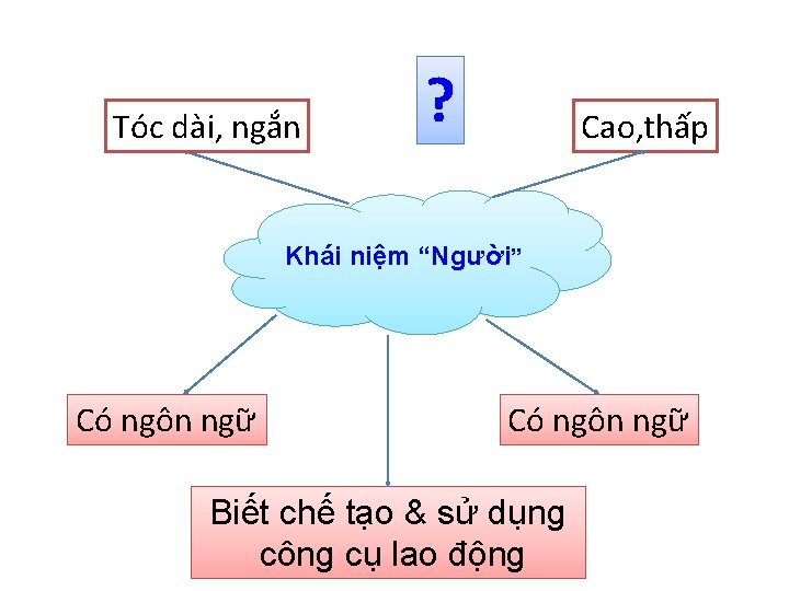 Tóc dài, ngắn ? Cao, thấp Khái niệm “Người” Có ngôn ngữ Biết chế