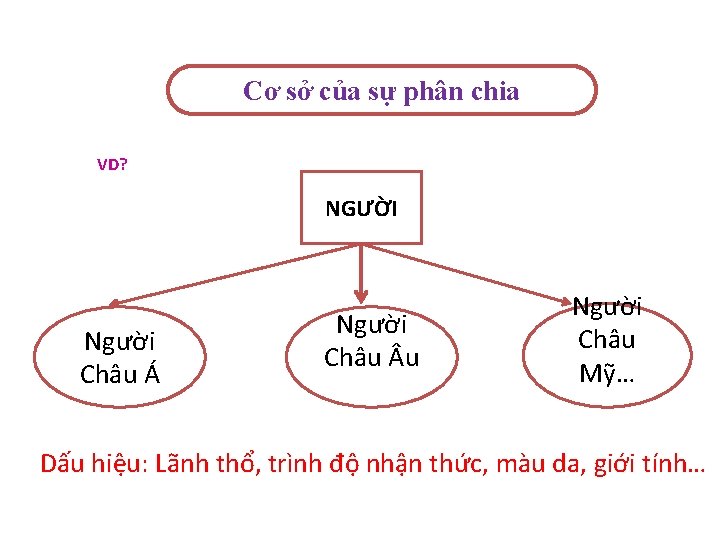 Cơ sở của sự phân chia VD? NGƯỜI Người Châu Á Người Châu u