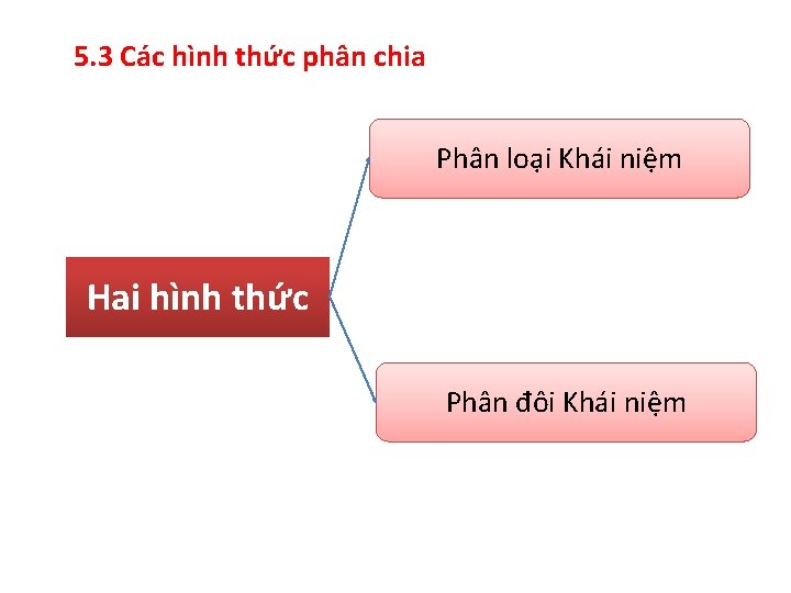 5. 3 Các hình thức phân chia Phân loại Khái niệm Hai hình thức