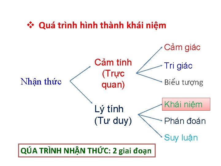 v Quá trình hình thành khái niệm Cảm giác Nhận thức Cảm tính (Trực