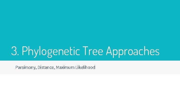 3. Phylogenetic Tree Approaches Parsimony, Distance, Maximum Likelihood 