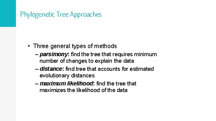 Phylogenetic Tree Approaches • Three general types of methods – parsimony: find the tree