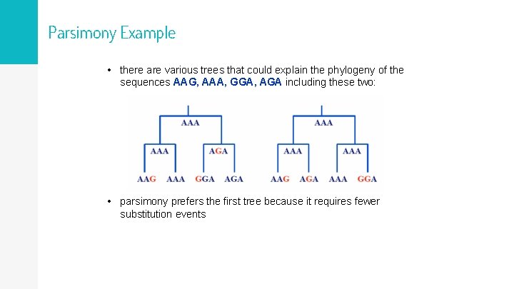 Parsimony Example • there are various trees that could explain the phylogeny of the