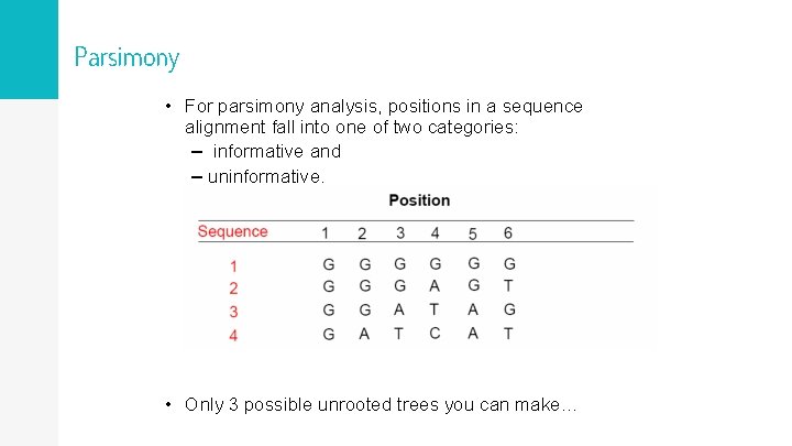 Parsimony • For parsimony analysis, positions in a sequence alignment fall into one of