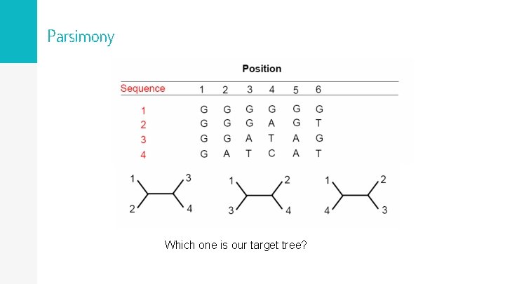 Parsimony Which one is our target tree? 
