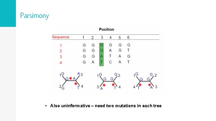 Parsimony • Also uninformative – need two mutations in each tree 