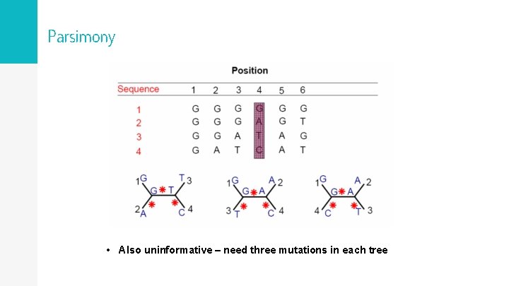 Parsimony • Also uninformative – need three mutations in each tree 