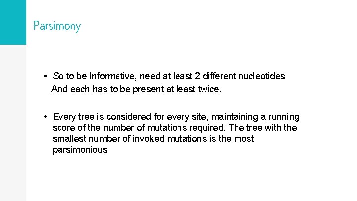 Parsimony • So to be Informative, need at least 2 different nucleotides And each