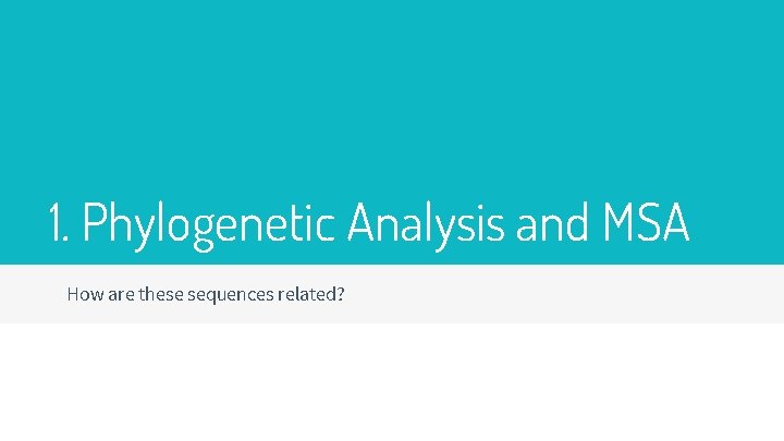 1. Phylogenetic Analysis and MSA How are these sequences related? 