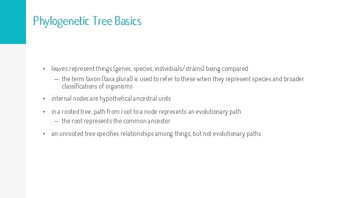Phylogenetic Tree Basics • leaves represent things (genes, species, individuals/strains) being compared – the