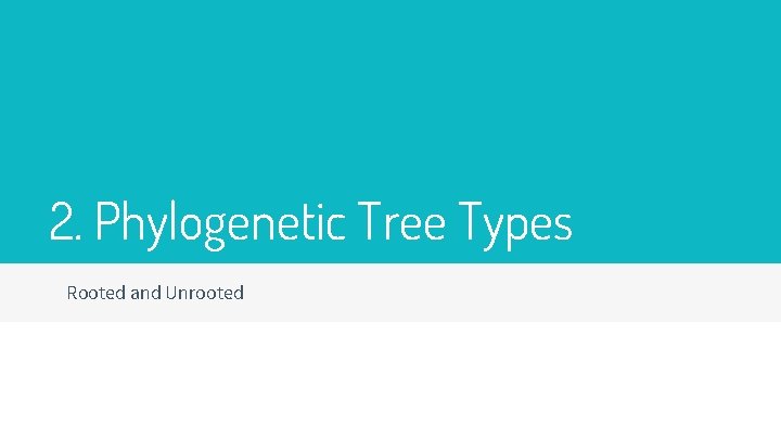 2. Phylogenetic Tree Types Rooted and Unrooted 