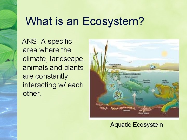What is an Ecosystem? ANS: A specific area where the climate, landscape, animals and