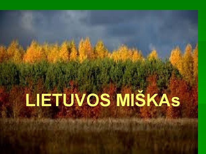 LIETUVOS MIŠKAs 